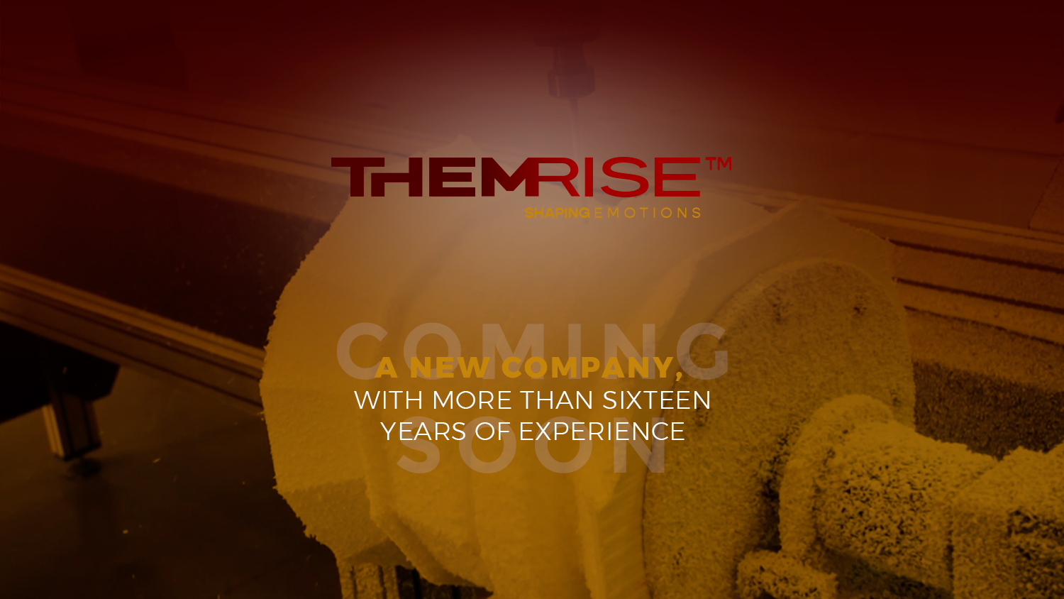 themrise-coming-soon-PROYECTOS-WEB-01